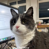 豆友236027021