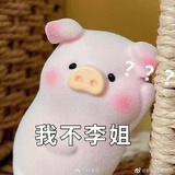 满城风絮
