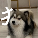 有事说话