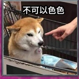 老涩批