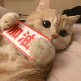 豆友236109477