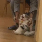 沈昌珉