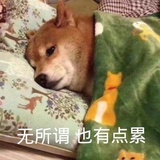滋儿哇