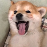 圈圈