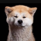 吃瓜路人