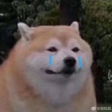 鹤粥.