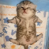 zzz