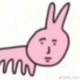 P菌落（已躺平
