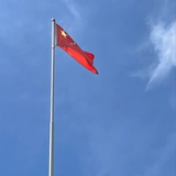 平平无奇