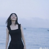 兔子加加不假