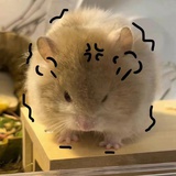 听雨