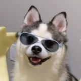 什么都不是事