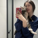 蛋糕不吃