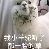 豆友236332105