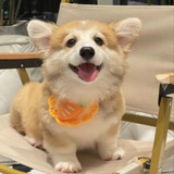 我也是momo