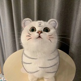 阿瑶瑶瑶
