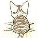 每小痛