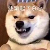 爱情保安