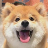 西柚soda