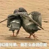 不吃榴莲
