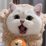 纯甄