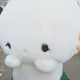 还是回农村养鸡