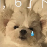 帅大哥
