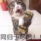 乐只