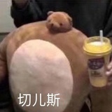 我真的很能吃