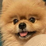 hh