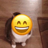 jiuji