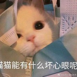 绾绾