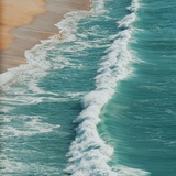 那束海蓝花