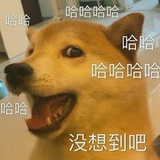 不吃香菜多放辣
