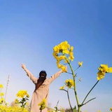 宝麻麻幽幽紫竹