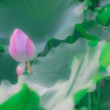 云书散记
