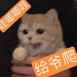 蜜雪冰城甜蜜蜜