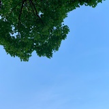 油腻📺TV