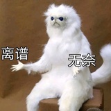852058