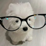 还是自己开心吧
