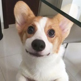 豆友236844554