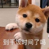 同学