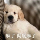 不知道说什么