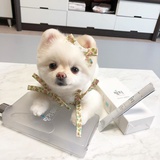 甜心烟杂店