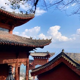 刘成蹊