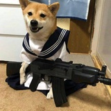 扎理苏