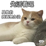 白发渔樵江渚上