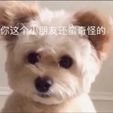 豆友236979663