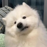 伏安