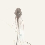夏始春余